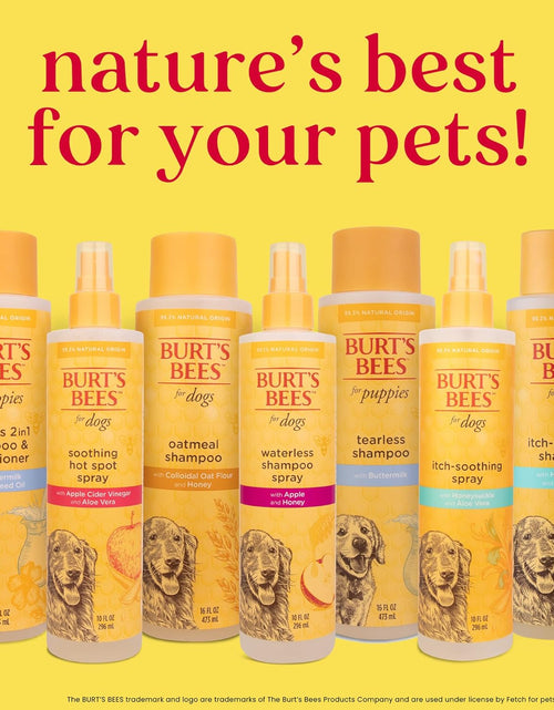 Load image into Gallery viewer, Burt'S Bees for Dogs Natural Waterless Shampoo Spray for Dogs, Apple and Honey Waterless Shampoo Spray, Dogs Shampoo, Dog Bathing Supplies, Dog Wash, Dog Grooming Supplies, Dog Spray
