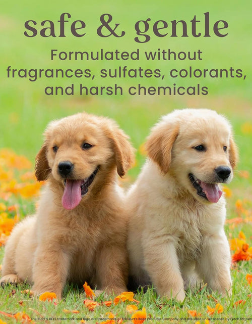 Load image into Gallery viewer, Burt'S Bees for Dogs Natural Waterless Shampoo Spray for Dogs, Apple and Honey Waterless Shampoo Spray, Dogs Shampoo, Dog Bathing Supplies, Dog Wash, Dog Grooming Supplies, Dog Spray
