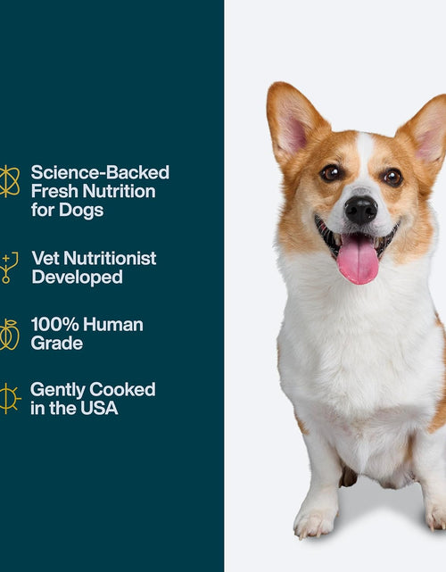 Load image into Gallery viewer, Pantry Fresh Wet Dog Food, Complete Meal or Dog Food Topper, Beef &amp; Russet Potato Human Grade Dog Food Recipe - 12.5 Oz (Pack of 6)
