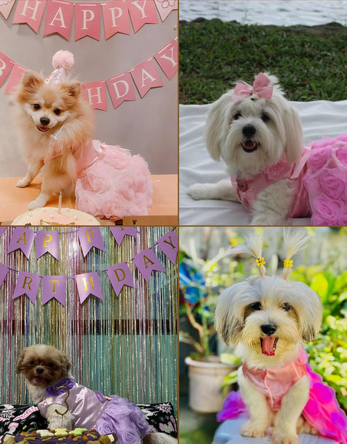 Load image into Gallery viewer, Dog Dress,Dog Wedding Dress,Dog Birthday Dress,Dog Tutu Dress
