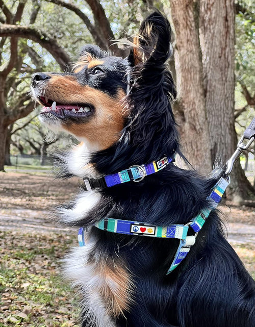 Load image into Gallery viewer, Multicolor Dog Collar Puppy Collar Pet Collar Multicolor Dog Collar Small Dog Collar Green / White / Blue Dog Collar
